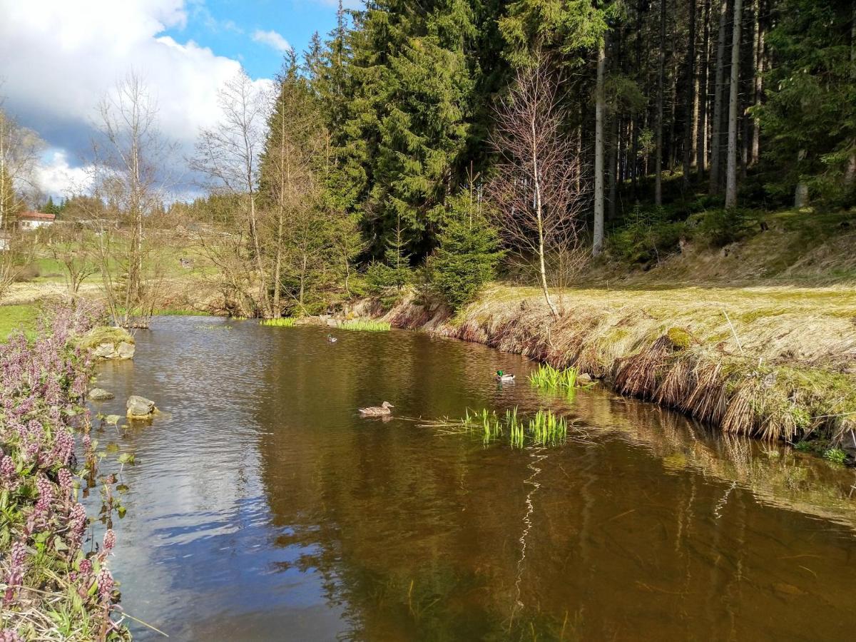 Penzion Karolína Lučany nad Nisou Exteriér fotografie