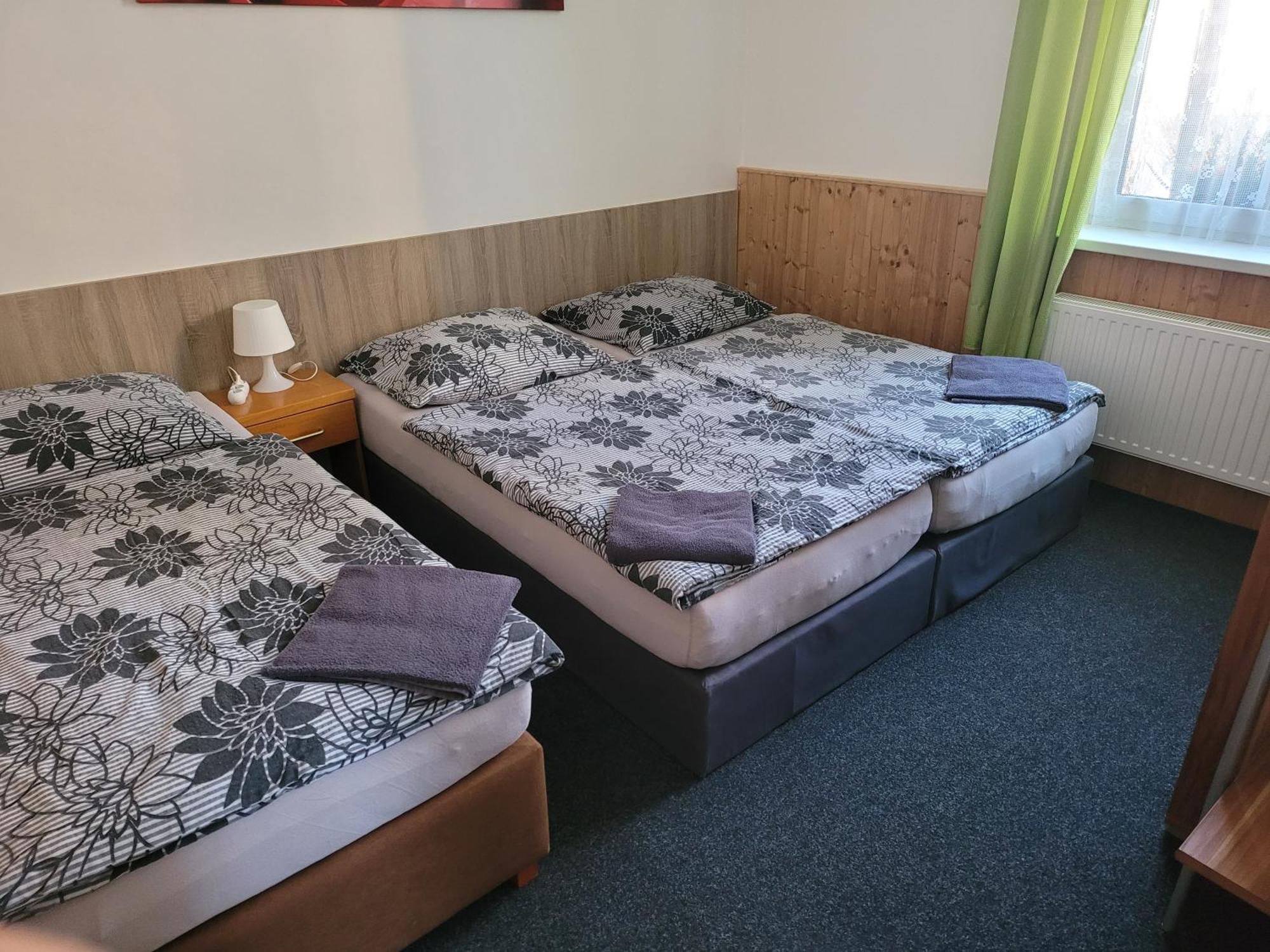 Penzion Karolína Lučany nad Nisou Exteriér fotografie