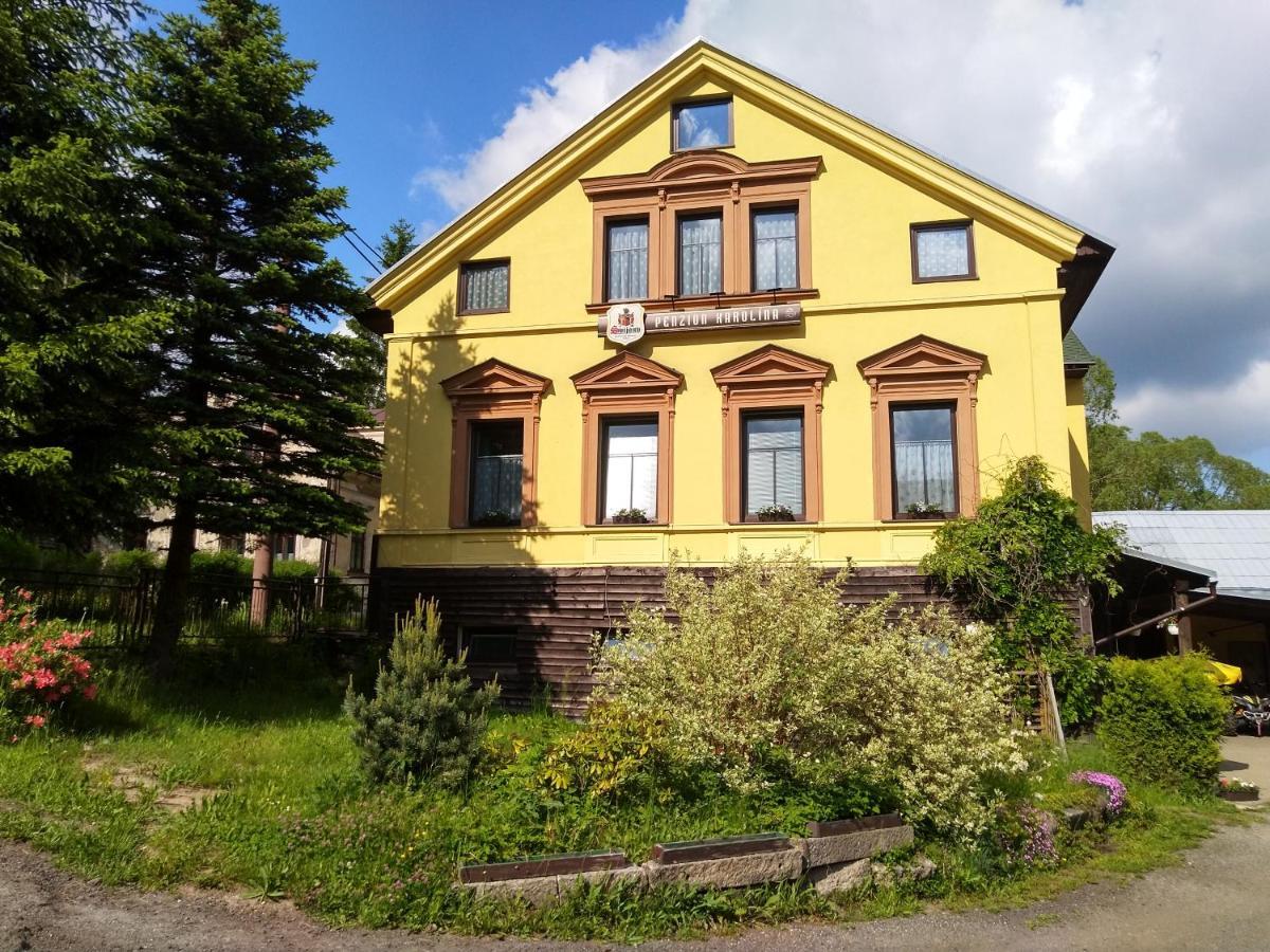 Penzion Karolína Lučany nad Nisou Exteriér fotografie